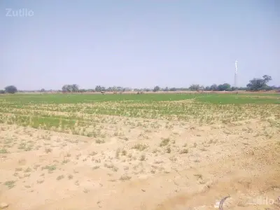 22 vigha jamin vechva ni chhe 22 vigha jamin vechva ni chhe