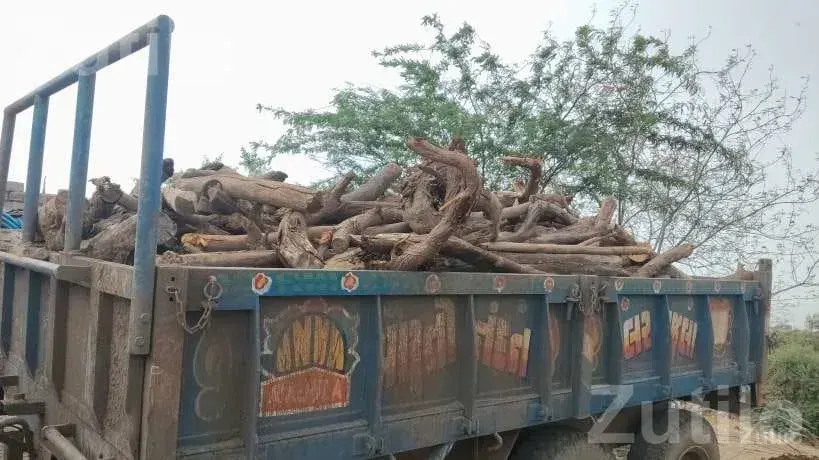 Cargo Auto Rickshaw Carrier Without Book - ઓટો રિક્ષા - રાજુલા - Image 2
