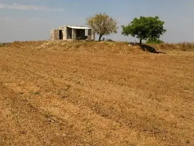Visavadar Agriculture Land Plot for Sale