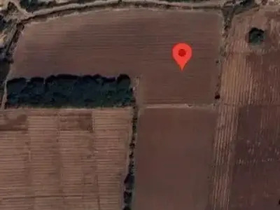 Wankaner Fertile Agricultural Land Plot Wankaner Fertile Agricultural Land Plot