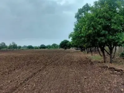 Fertile Agricultural Land in Lilva Gir Fertile Agricultural Land in Lilva Gir
