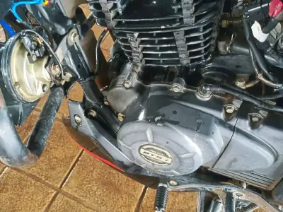 Bajaj Pulsar 125 2021 Model Bike Bajaj Pulsar 125 2021 Model Bike