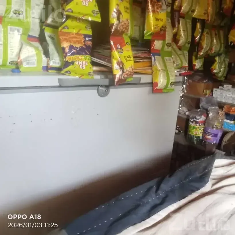 Commercial Deep Freezer for Shop Use - ફ્રિજ - કુટિયાણા - Image 2