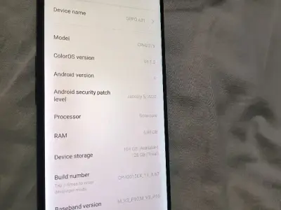 9979220853 9979220853