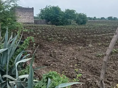 જમીન વેચવાની છે જમીન વેચવાની છે