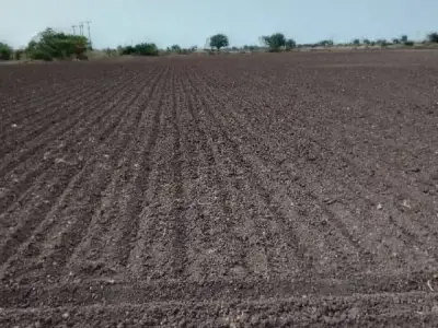 Fertile Agricultural Land for Sale Rajkot Fertile Agricultural Land for Sale Rajkot
