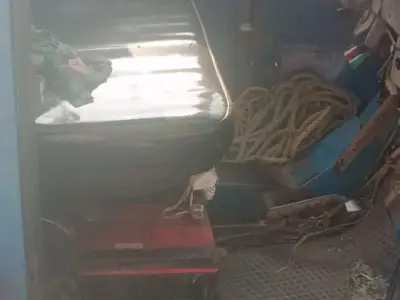 Alpha Loading Auto Rickshaw 2015