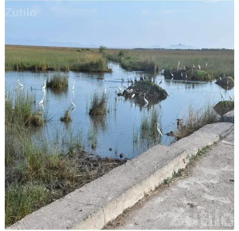 Mokar Sagar Side Plot in Chhaya - Land & Plots - Chhaya - Image 2