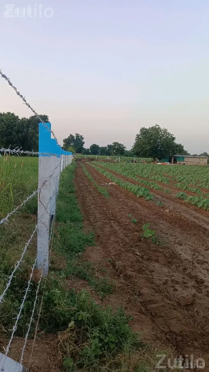 Barbed Wire Fencing Work Service - Home Repair - Palanpur - Image 3