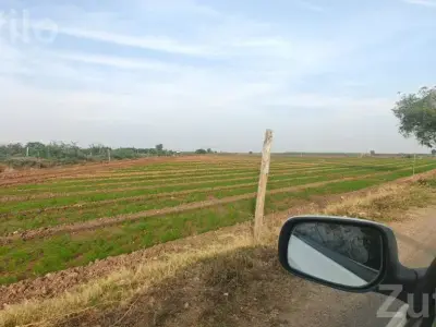 3 Acre Agricultural Land for Sale 3 Acre Agricultural Land for Sale