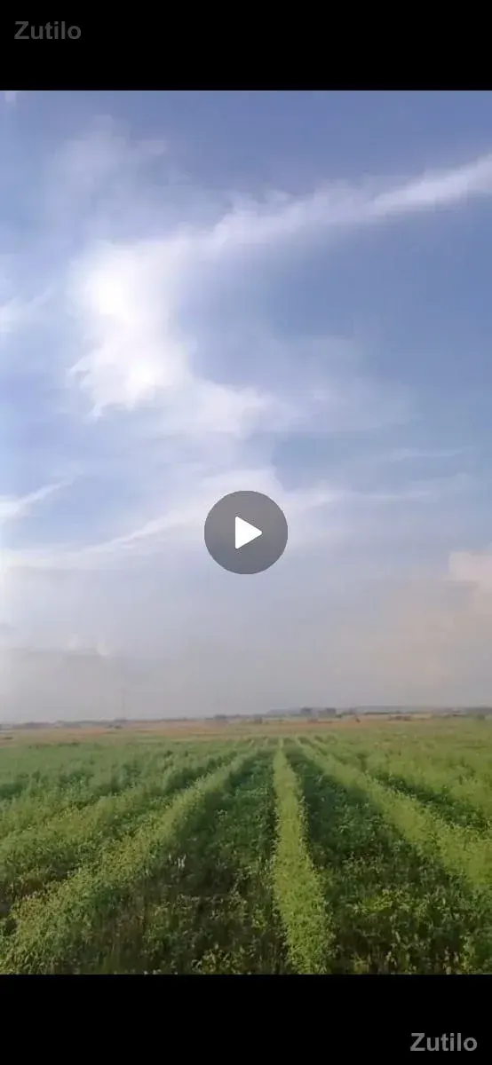 વેચાણ - Land & Plots - Vadodara City - Image 2