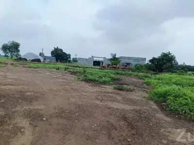 5 Bigha Open Agricultural Land for Sale
