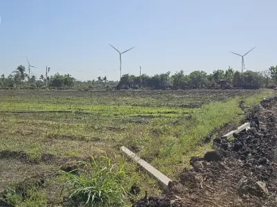 19 Vigha Agricultural Land with Water Source 19 Vigha Agricultural Land with Water Source