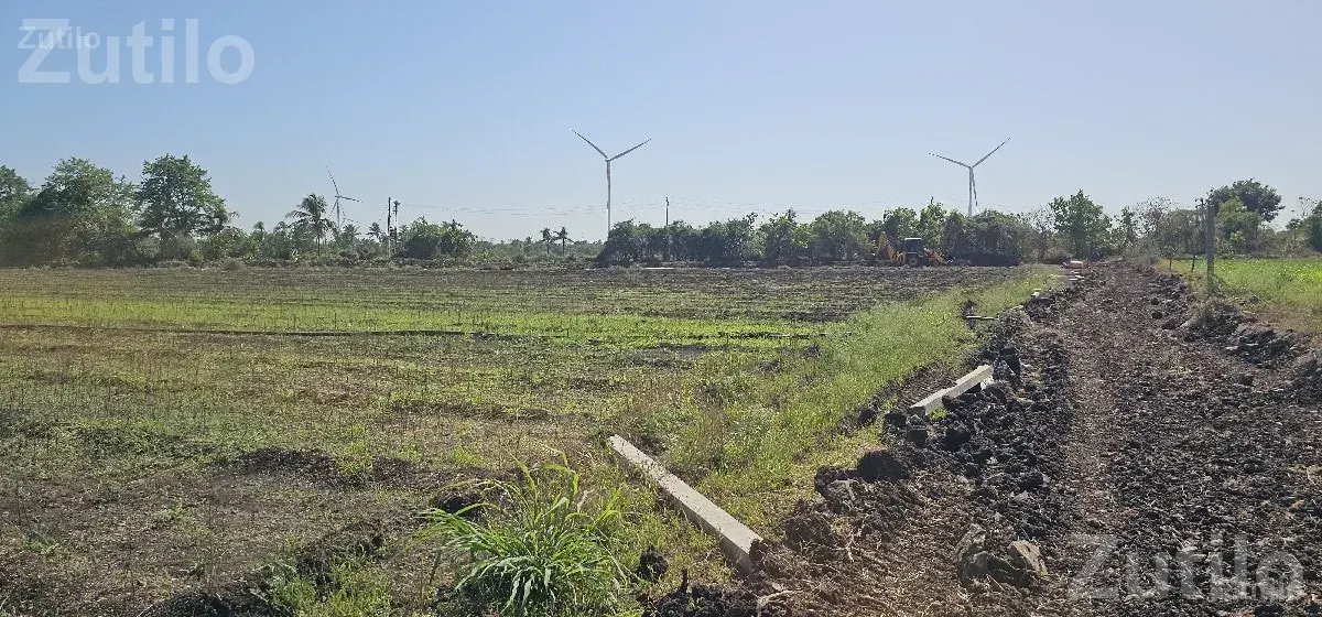 19 Vigha Agricultural Land with Water Source - જમીન અને પ્લોટ - તલાલા - Image 1