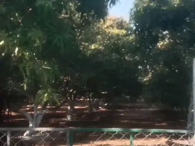 5 વિઘા જમીન વેચવાની છે 5 વિઘા જમીન વેચવાની છે