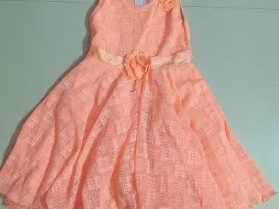 Kid Girl Peach Net Frock