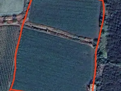8 Vigha Fertile Farm Land Santalpur 8 Vigha Fertile Farm Land Santalpur