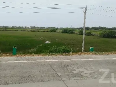 7.5 Vigha Road Touch Agriculture Land 7.5 Vigha Road Touch Agriculture Land