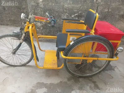Handicapped Person Tricycle Cycle