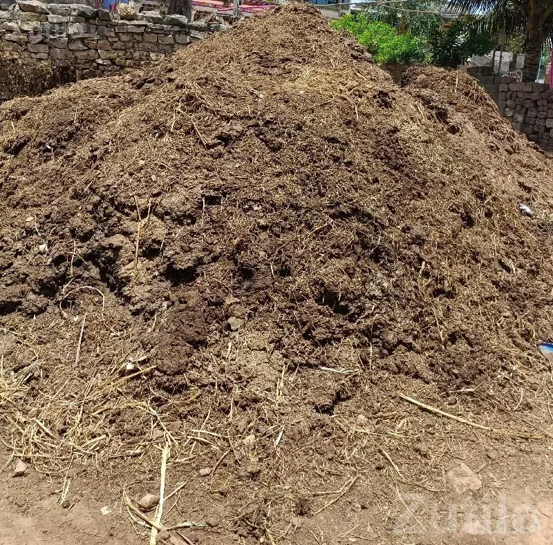 Organic Cow Manure Fertilizer Bulk Sale - Land & Plots - Chhaya - Image 2