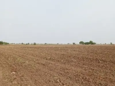 Savarkundla Fertile Agricultural Land Sale Savarkundla Fertile Agricultural Land Sale