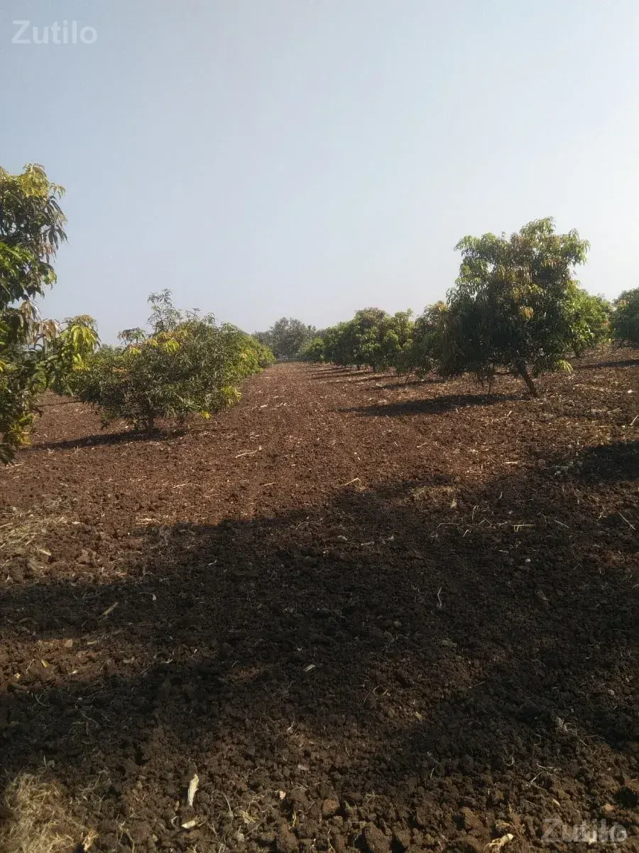જમીન વેચવાની છે - Land & Plots - Somnath - Image 2