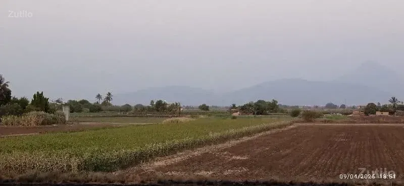 જમીન વેચવાની છે - જમીન અને પ્લોટ - ઊના - Image 3