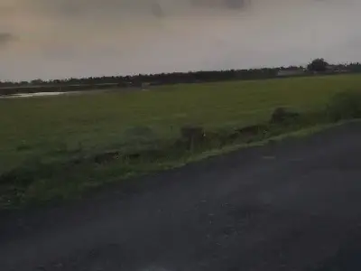 Road Touch Green Land Plot Ranavav Road Touch Green Land Plot Ranavav