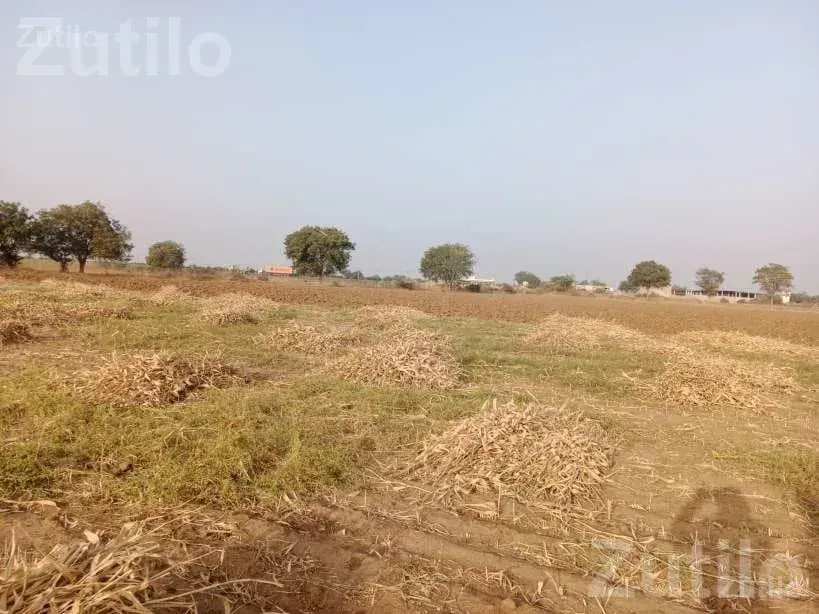 Agricultural Land for Sale Near NH 27 - જમીન અને પ્લોટ - ભુજ - Image 4