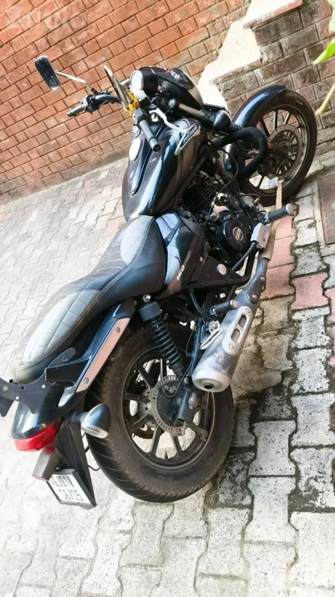 Bajaj Avenger 160 Street 2022 First Owner - બાઇક્સ - અમદાવાદ શહેર - Image 2