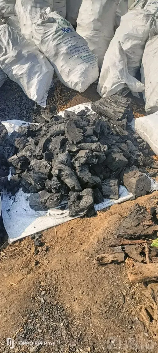 Wood Charcoal for Tandoor and Tea Stalls - Other Industrial Items - Wankaner - Image 3