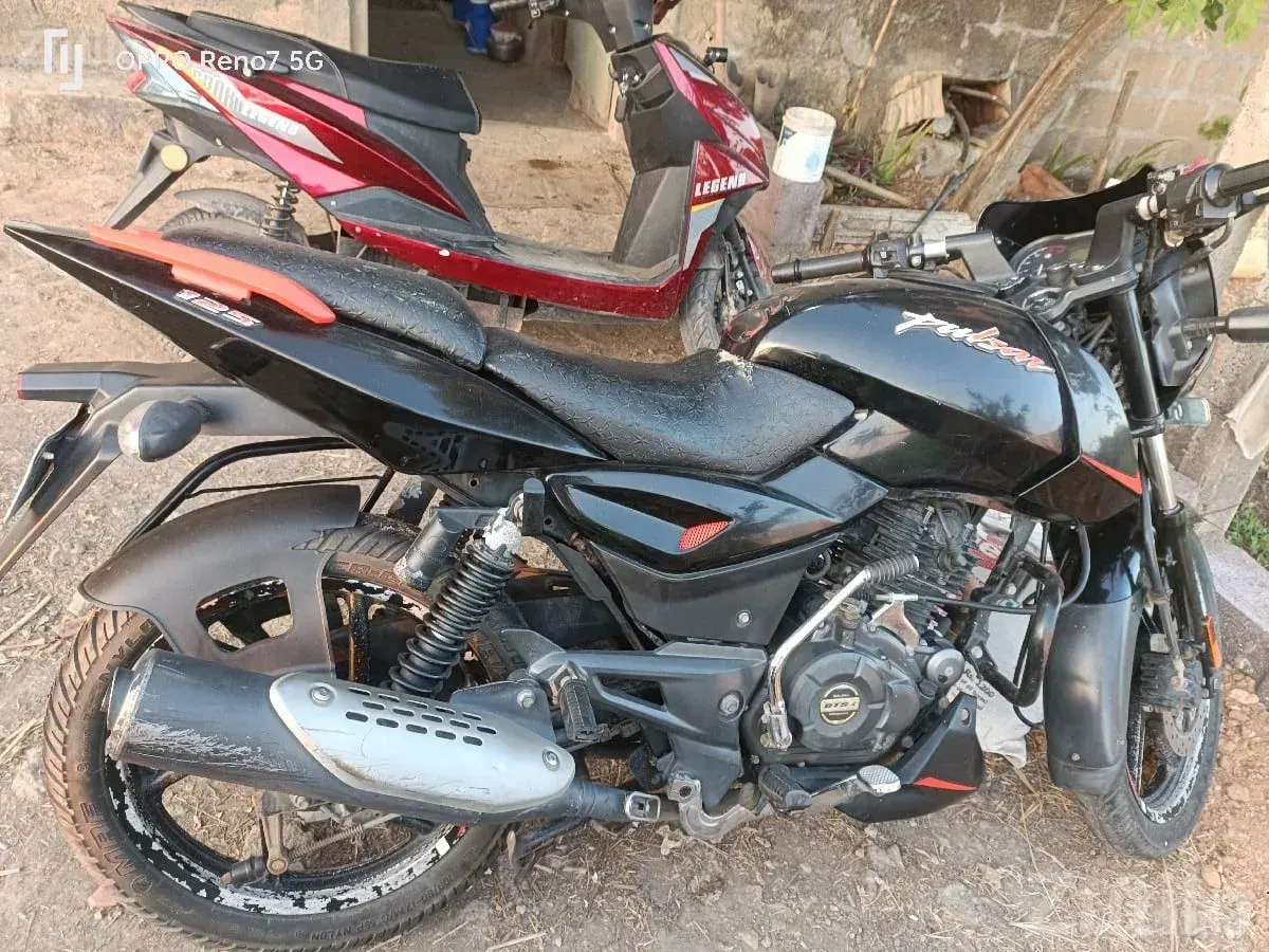 Bajaj Pulsar 125cc Used Bike for Sale - Bikes - Kodinar - Image 2