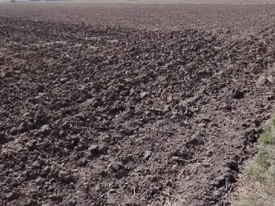 41 Bigha Fertile Agricultural Land Sale 41 Bigha Fertile Agricultural Land Sale