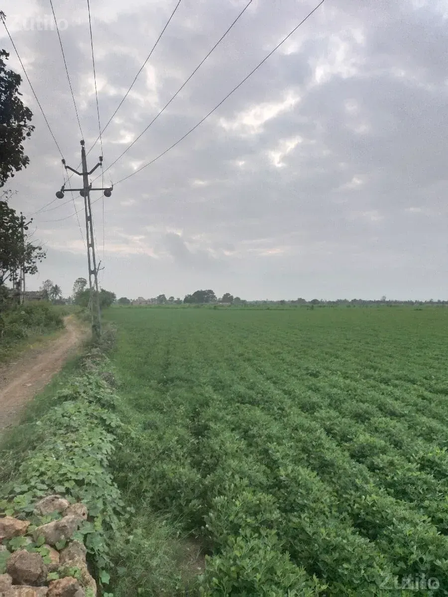 આ જમીન વેચવાની છે - જમીન અને પ્લોટ - સુરત શહેર - Image 2