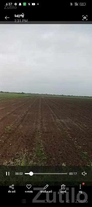 Road Touch Farmland Plot in Savarkundla - જમીન અને પ્લોટ - સાવરકુંડલા - Image 3