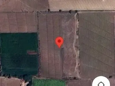 5 Bigha Agriculture Plot, Wankaner 5 Bigha Agriculture Plot, Wankaner