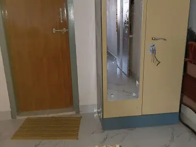 Godrej Steel Cupboard with Mirror and Locker