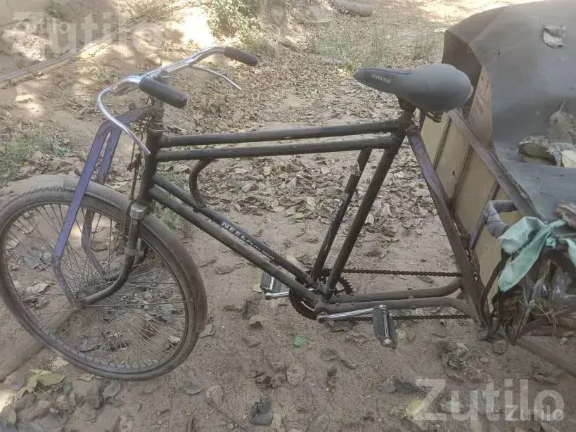 Pedal Rickshaw Cargo Cycle Cart - સાયકલ - અમદાવાદ શહેર - Image 3