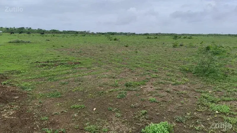 જમીન વેચવાની છે - મોબાઈલ 8928481945 - જમીન અને પ્લોટ - લાલપુર - Image 2
