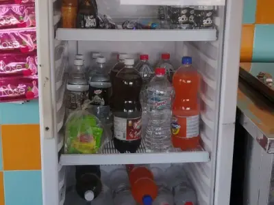 Celfrost Single Door Display Refrigerator
