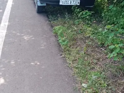 9978732692 9978732692