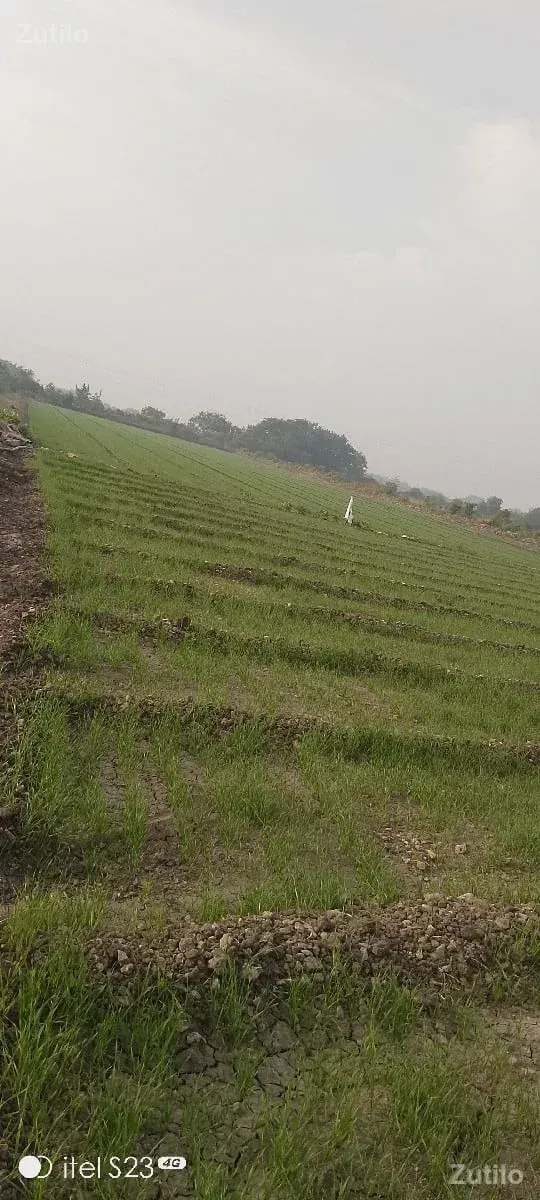 વેચવાનીછે - Land & Plots - Ranavav - Image 2